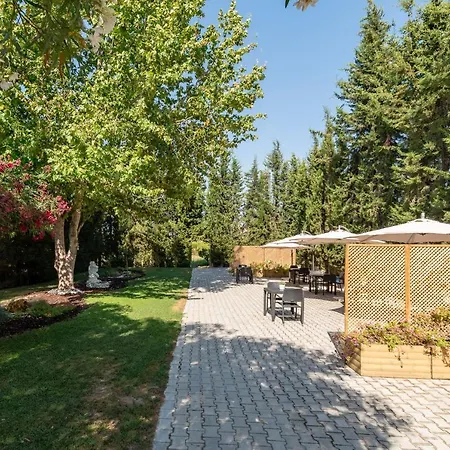 Manta Guest - Manta Rota