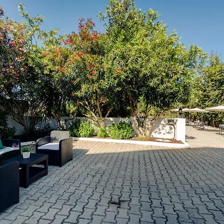 Manta Guest -