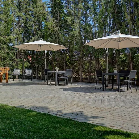 Manta Guest - Manta Rota